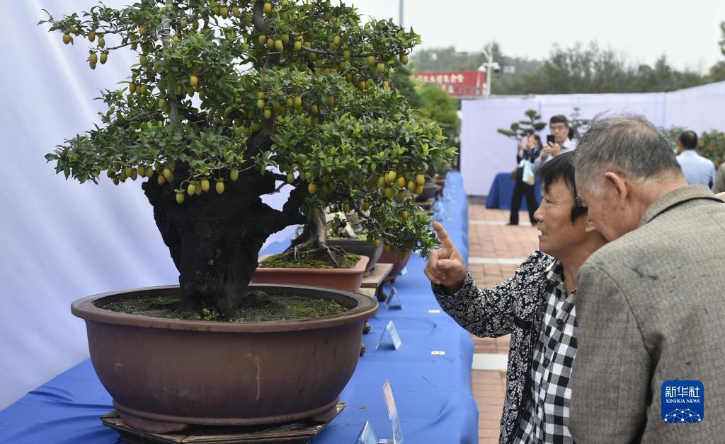 快乐捕鱼大满贯